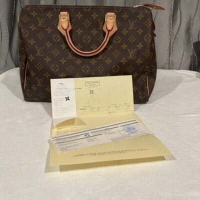 Louis Vuitton Speedy 35 Classic Sr0193 2013 Model