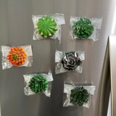 Set of 6 succulent magnets