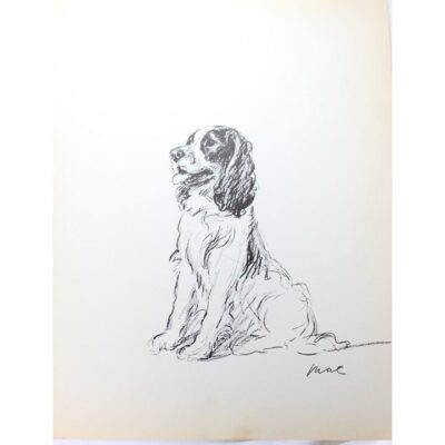 Lucy Dawson 1937 Springer Spaniel Wire Haired Dachshund Print Vintage 90486