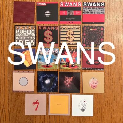 Swans fridge magnets