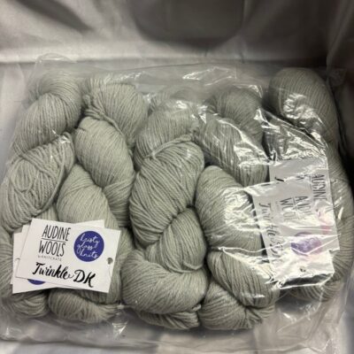 Audine Wools Twinkle Yarn DK in Roller skates  5 skeins