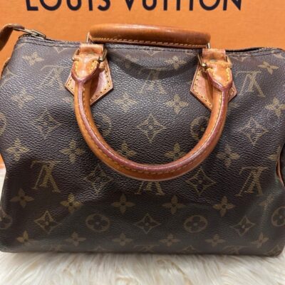 Louis Vuitton Speedy Damier 30 Satchel