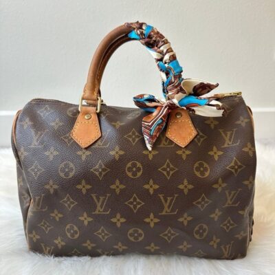 Louis Vuitton Speedy 30 Monogram Handbag