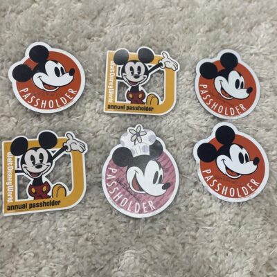 Disney Annual Pass-holder 6 Magnets