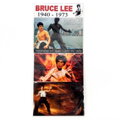 Bruce Lee 1940-1973 Memorial Rest In Peace Fridge Magnets 3-Pack