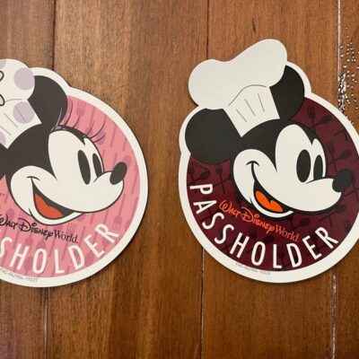 Disney passholder magnet