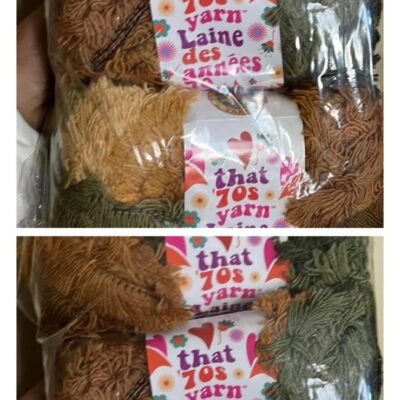 Yarn lot Lion Brand THAT 70s YARN in SHAGADELIC Shaggy Chic lot of 60