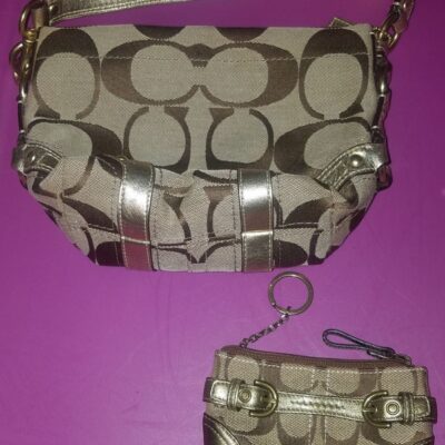 Coach 46347 Carly Top Handle Pouch