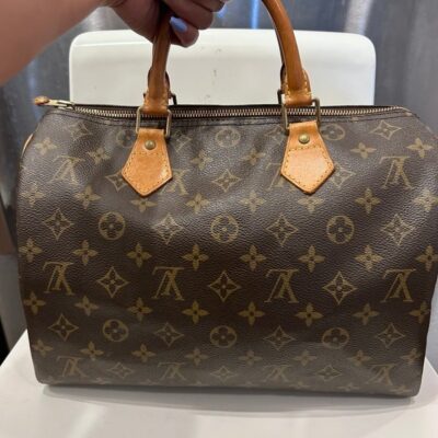 Louis Vuitton Speedy 35