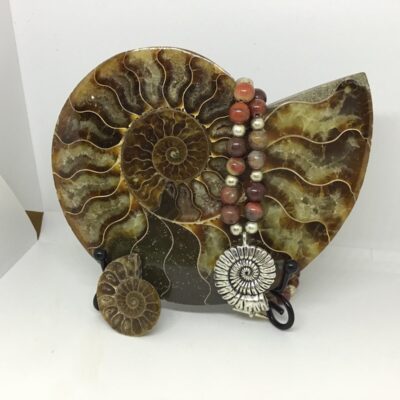 Ammonite necklace