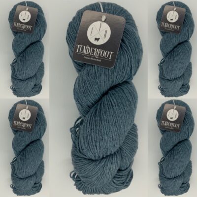 lot of 5 indigo dye color 113 eyb tenderfoot yarn