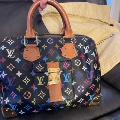 Louis Vuitton multicolor speedy 30